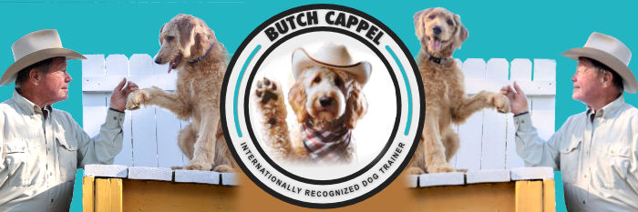 Butch Cappel Internationally Recognized Dog Trainer